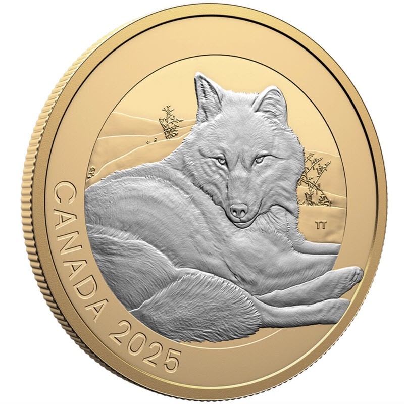 Серебряная монета Канады 